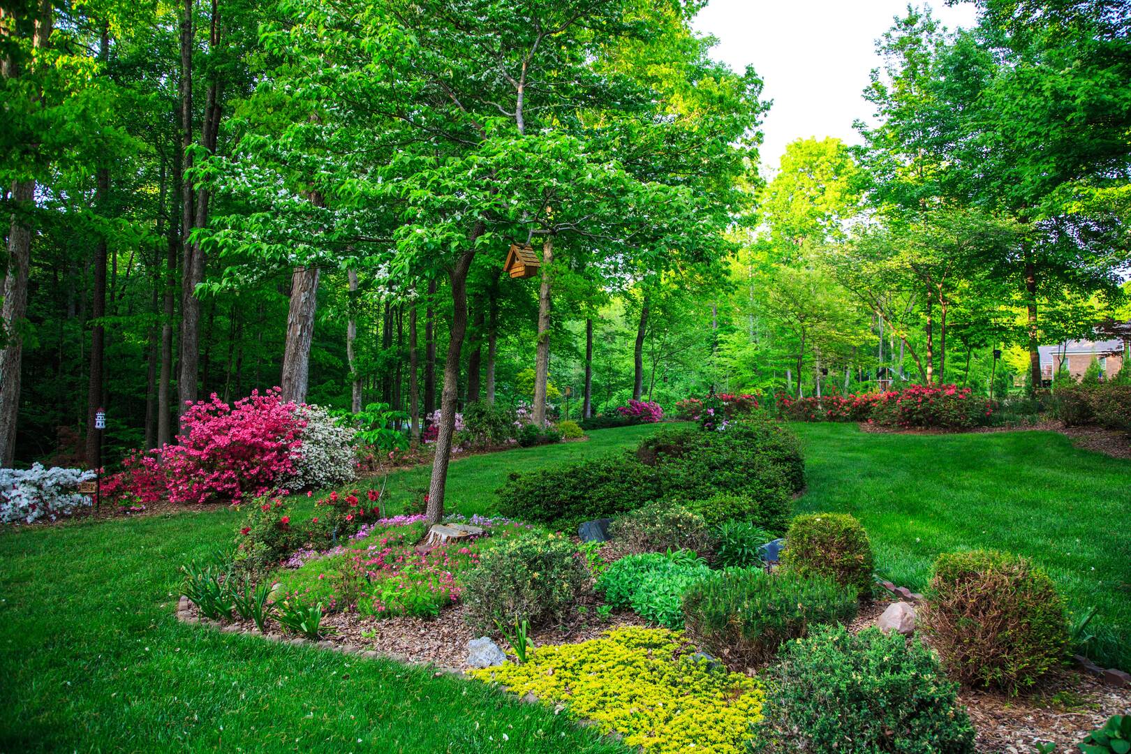 White Pine Lawn & Snow Group