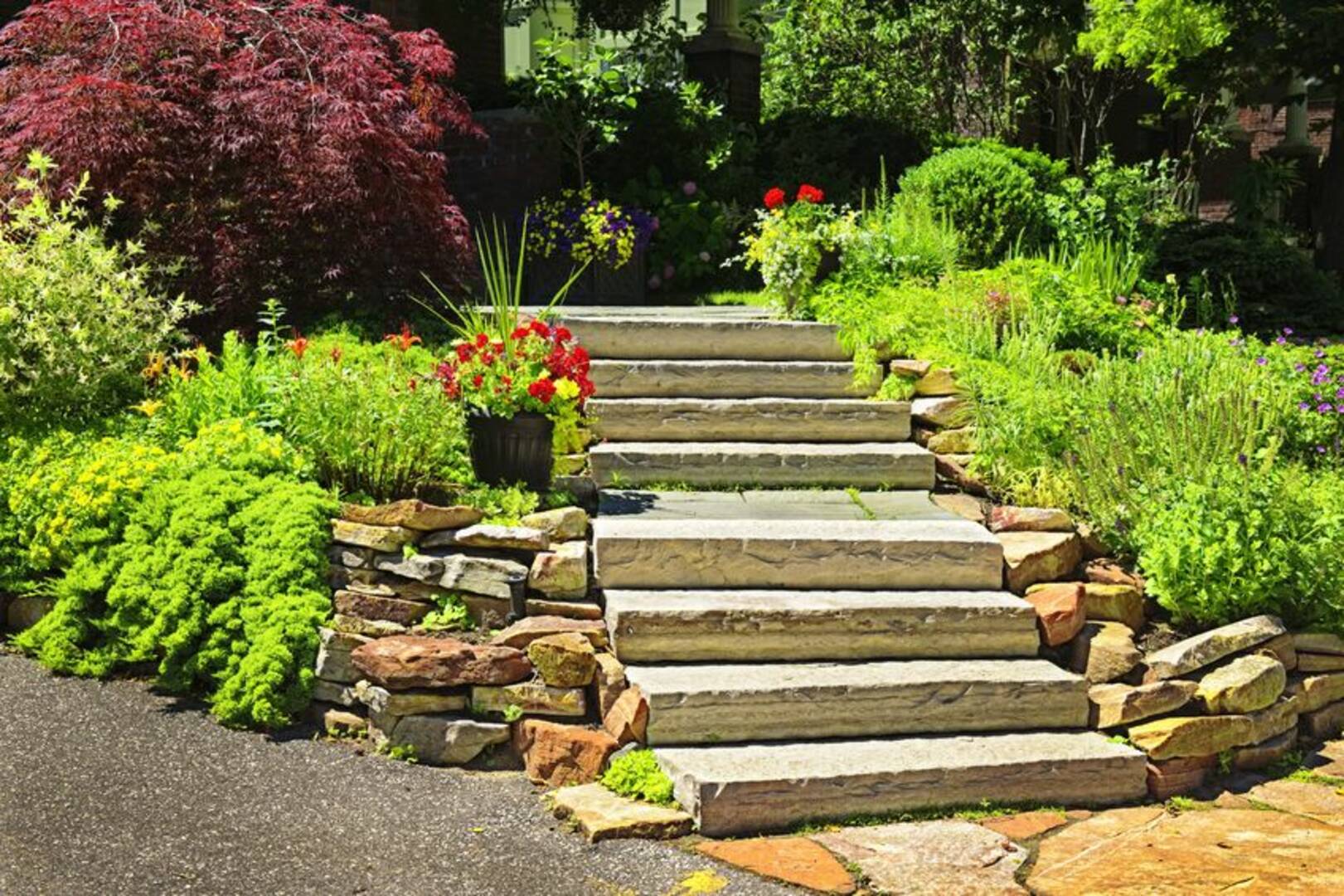 Above All Tree Services