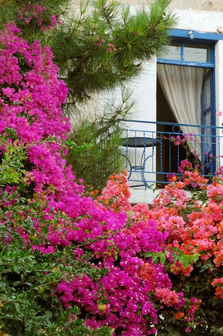 Maintenance Free Landscapes