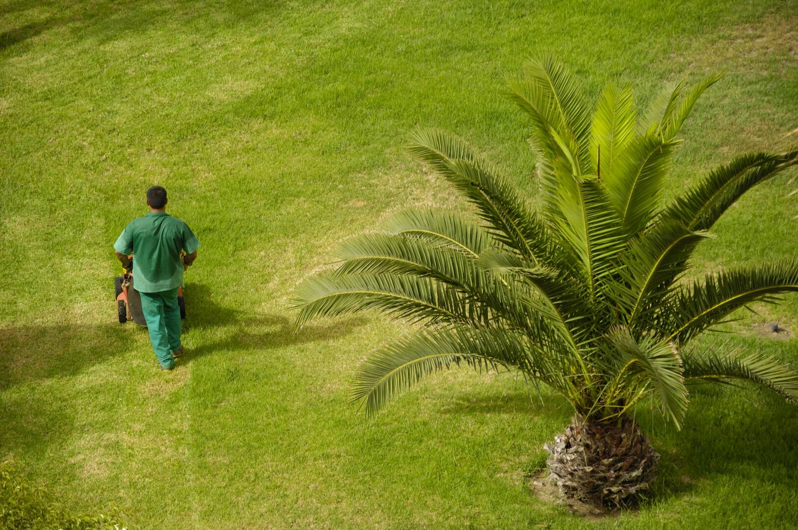 A Fresh Cut Landscaping